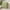 Green, variant on HongHeng Clearance Under $2.00 Boho Decorative Pillow Covers 45x45 Cm for Living Room Couch Bed Sofa, Stylish Simplicity Home Decor, Soft Corduroy Cushion