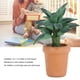 thumbnail image 3 of M Buder 1/12 Dollhouse Green Leaves Potted Mini Model DIY Decoration Accessory 5.00 cm, 3 of 9