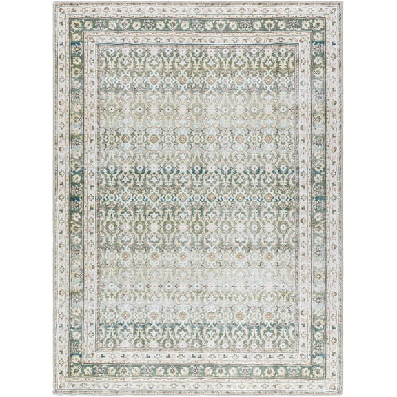 BoutiqueRugs Rainier Traditional Area Rug - Machine Washable - Green, Brown - 2' x 2'11"