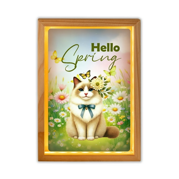 Ragdoll Hello Spring Time Flower Floral Nature Acrylic Plaque with Wood Photo Frame Box Cat Lover Kitten Owner Gifts Idea Light Box - 02031
