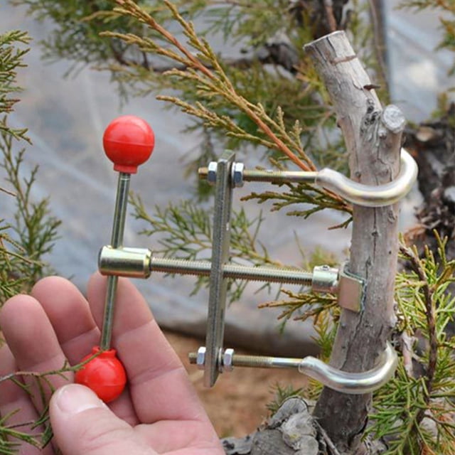 CRAFTHROU Herramienta Para Doblar Ramas De Bonsái Con Y Ergonómico Color Multi