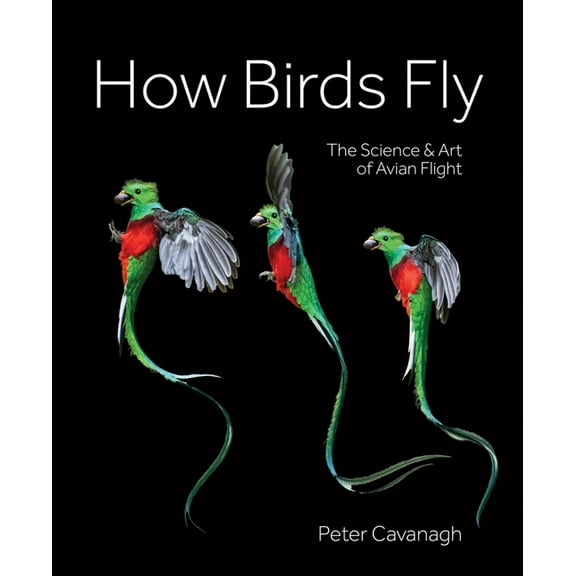 How Birds Fly: The Science and Art of Avian Flight, (Hardcover)