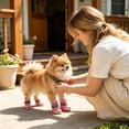thumbnail image 4 of 4 Pcs, Dog Shoes for Small Dogs 1.5 Inch Dog Shoes for Summer Breathable Dog Booties and Paw Protectors Non Slip Lightweight Pet Summer Footwear for Outdoor Walking Pink, 4 of 5