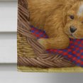 thumbnail image 4 of Carolines Treasures ASA2155CHF Puppies Flag Canvas House Size, 4 of 4