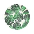 thumbnail image 4 of Paper Tableware Set Monstera Printed For Dessert Table Layout Tropical Napkins Safe To Use 1Set, 4 of 4