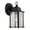 Matte Black, variant on Thomas Lighting Traditional Lantern 9231 Outdoor Wall Sconce