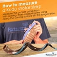 thumbnail image 3 of Shofar Halleluyah Kudu original kosher totalmente pulido de Israel, 3 of 7