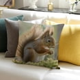 thumbnail image 3 of BCIIG Squirrel Animal Pillow Cases Lightweight Super Soft Easy Care Plush Pillow Cover with Invisible Zipper Soft Breathable Body Pillowcases for Hair and Skin Home Decor 22x22in, 3 of 5