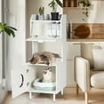thumbnail image 4 of Spaco Private Cat Space, Litter Box Furniture, Potted Plant Shelf, 20.5x21.3x53in, 4 of 11