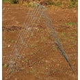 thumbnail image 2 of Garden Cucumber Squash A-Frame Support Galvanized Steel Foldable 48" High, 2 of 3