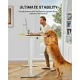 thumbnail image 5 of 55x28 Inches Adjustable Height Electric Standing Desk with 2 Storage Hooks, Sit Stand Up Desk Computer Desk for Home Office (Natural), 5 of 5