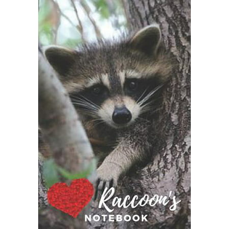 Raccoon Notebook : cute raccoons gift for children that love animals (blank lined notebook) best for writing notes and ideas for home use or as a school homework book for kids / notepad for girls / journal for journaling / raccoon
