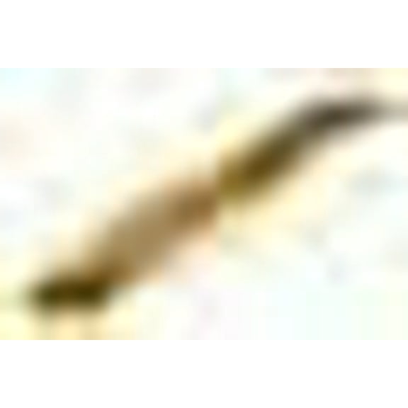 Perfect Life Ideas Desktop Miniature Bowling Game Set with Mini Pins Bowling Ball - Tabletop Toy Gaming - Bowling Alley Action at Your Home