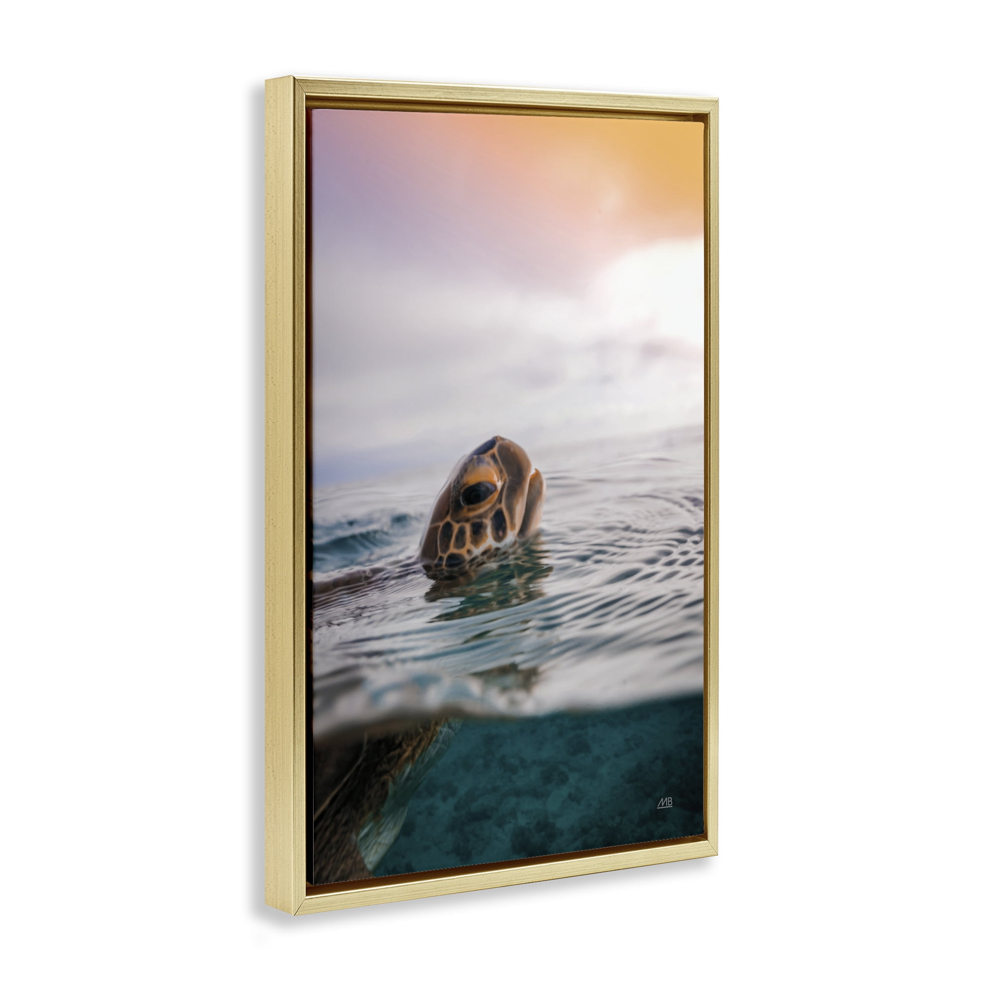 Stupell Industries Turtle Swim at Sunrise Animals Photography Gold Floater Framed Canvas Art Print Wall Art, 17 x 25