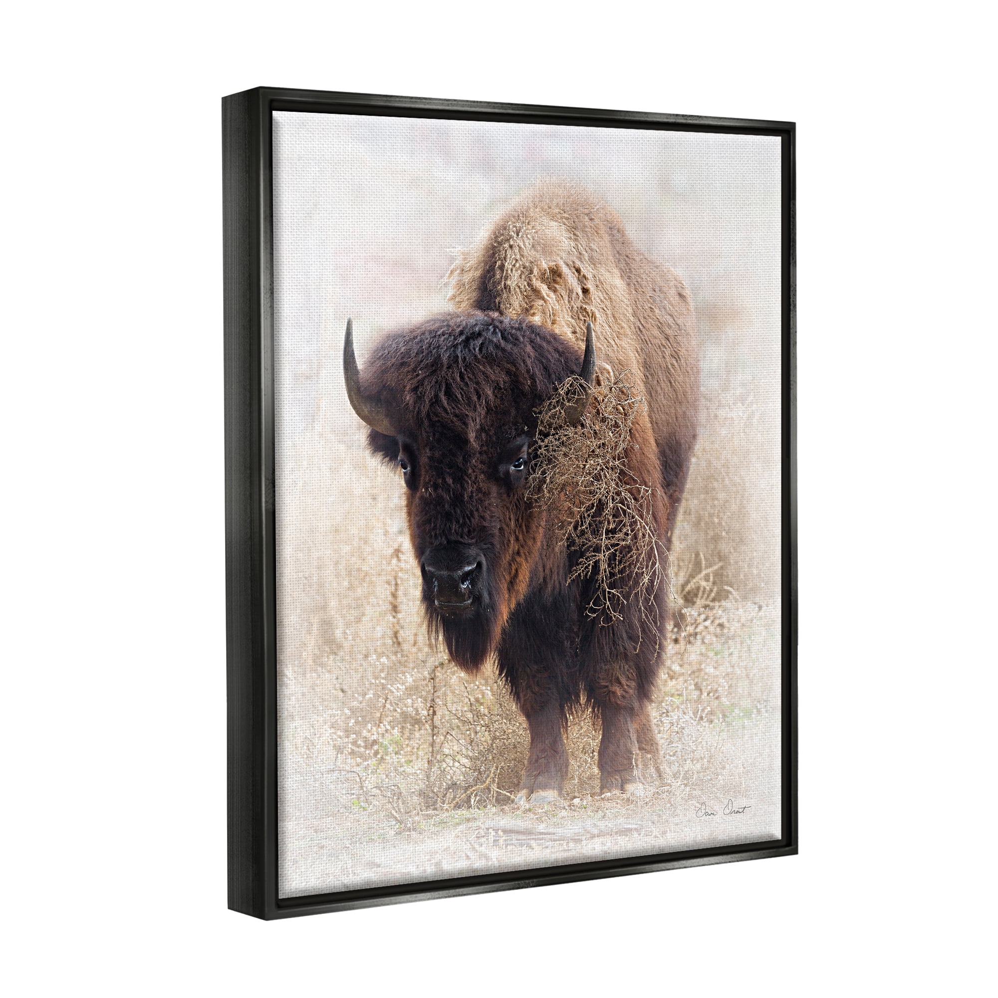 Stupell Industries Bison Grazing Photography Animals & Insects Painting Black Floater Framed Art Print Wall Art, 17 x 21
