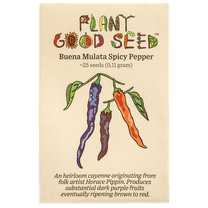Buena Mulata Pepper Seeds