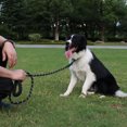 thumbnail image 6 of Dog Leash for Medium & Large Dogs, 5FT x 1/2in Heavy Duty Rope Leash with Padded Handle, Highly Reflective Threads & Swivel Clip, No Tangle for Walking Training, Black, 6 of 6