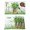 Green Gold, variant on Happy St. Patrick's Day Placemats Set of 6, Spring Green Lucky Clovers Leaf Placemats for Dining Table, Place Mats for Kitchen Tabletop, Waterproof Wipeable Dining Table Mats Set