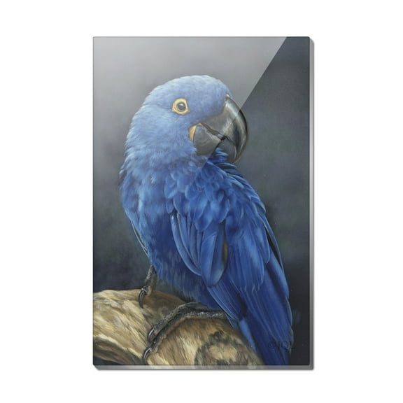 Hyacinth Macaw Parrot Rectangle Acrylic Fridge Refrigerator Magnet