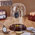 thumbnail image 4 of Vitrina de cristal para reloj de bolsillo de 8,4 x 5,8 cm con soporte para esfera dorada y base de madera., 4 of 5
