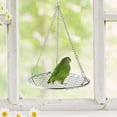 thumbnail image 6 of CarpNettore Bird Perch Stand Decor Indoor Outdoor Climbing Training Standing Creative Parrot, 6 of 9