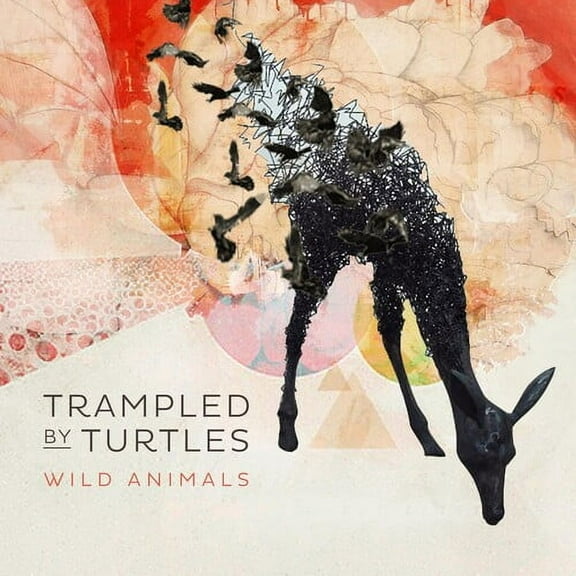 Trampled By Turtles - Wild Animals - Music & Performance - Vinyl