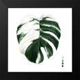 thumbnail image 2 of Popp, Grace 20x20 Black Modern Framed Museum Art Print Titled - Custom Variegated Monstera II, 2 of 5