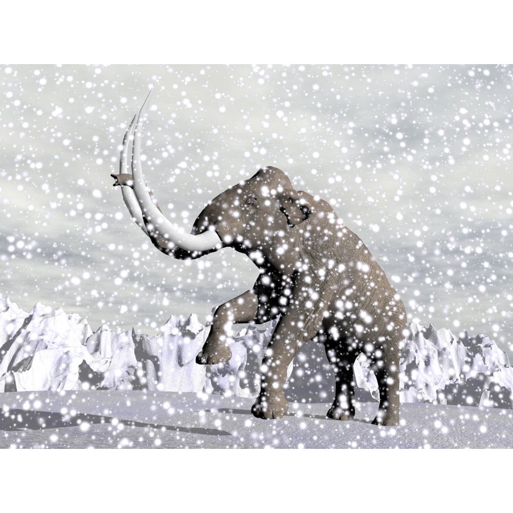 Mammoth walking through a blizzard on mountain Poster Print (16 x 12