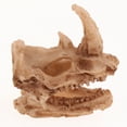 thumbnail image 3 of 10Pcs Terrarium Vivarium Ornament Snake Hide Cave, 3 of 8