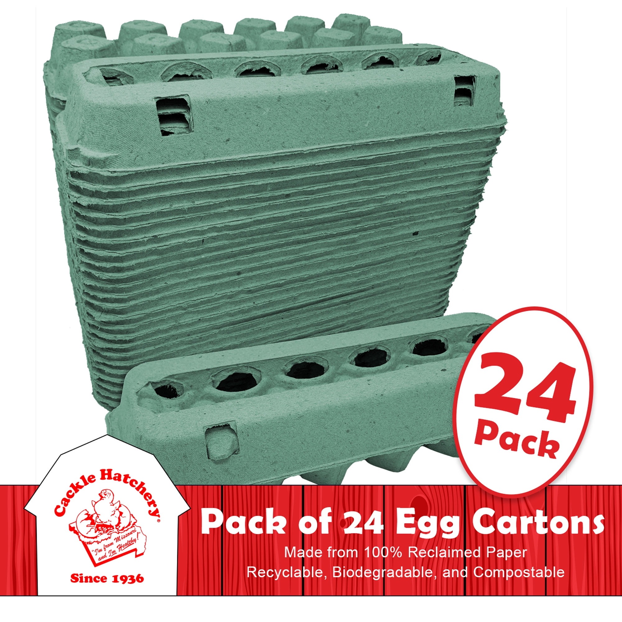 Buy Paper Egg Cartons (Pack of 24) at S&S Worldwide