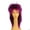 DARK PURPLE, variant on Lacey Wigs Punk Sh Blue/White