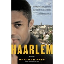 Haarlem : A Novel (Paperback)