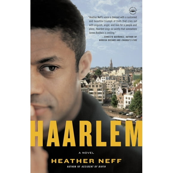 Haarlem : A Novel (Paperback)