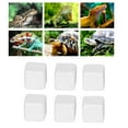 thumbnail image 4 of Calcio Para Caracoles, Pecera Segura Piedra De Calcio Para Uso Diario Para Animales Terrestres Para Reptiles Para Tortugas Amonsee Otros, 4 of 8