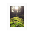 thumbnail image 1 of Forestry Science Nature Scenery Desktop Photo Frame Picture Display Decoration Art Painting, 1 of 3