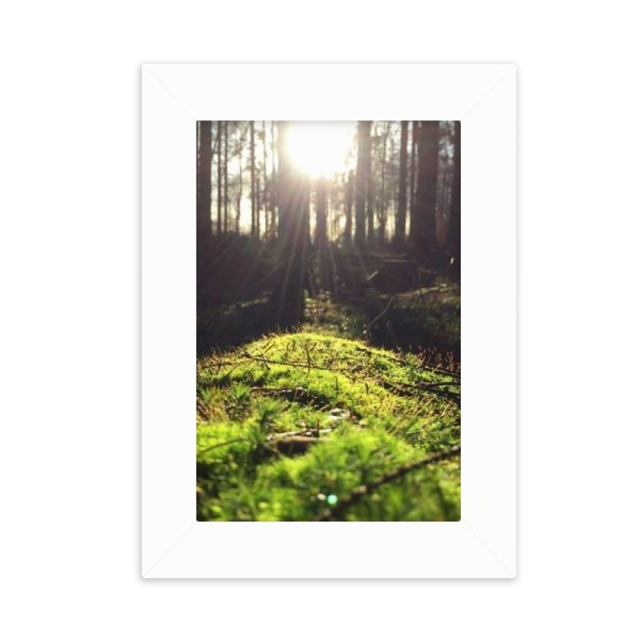 Forestry Science Nature Scenery Desktop Photo Frame Picture Display Decoration Art Painting