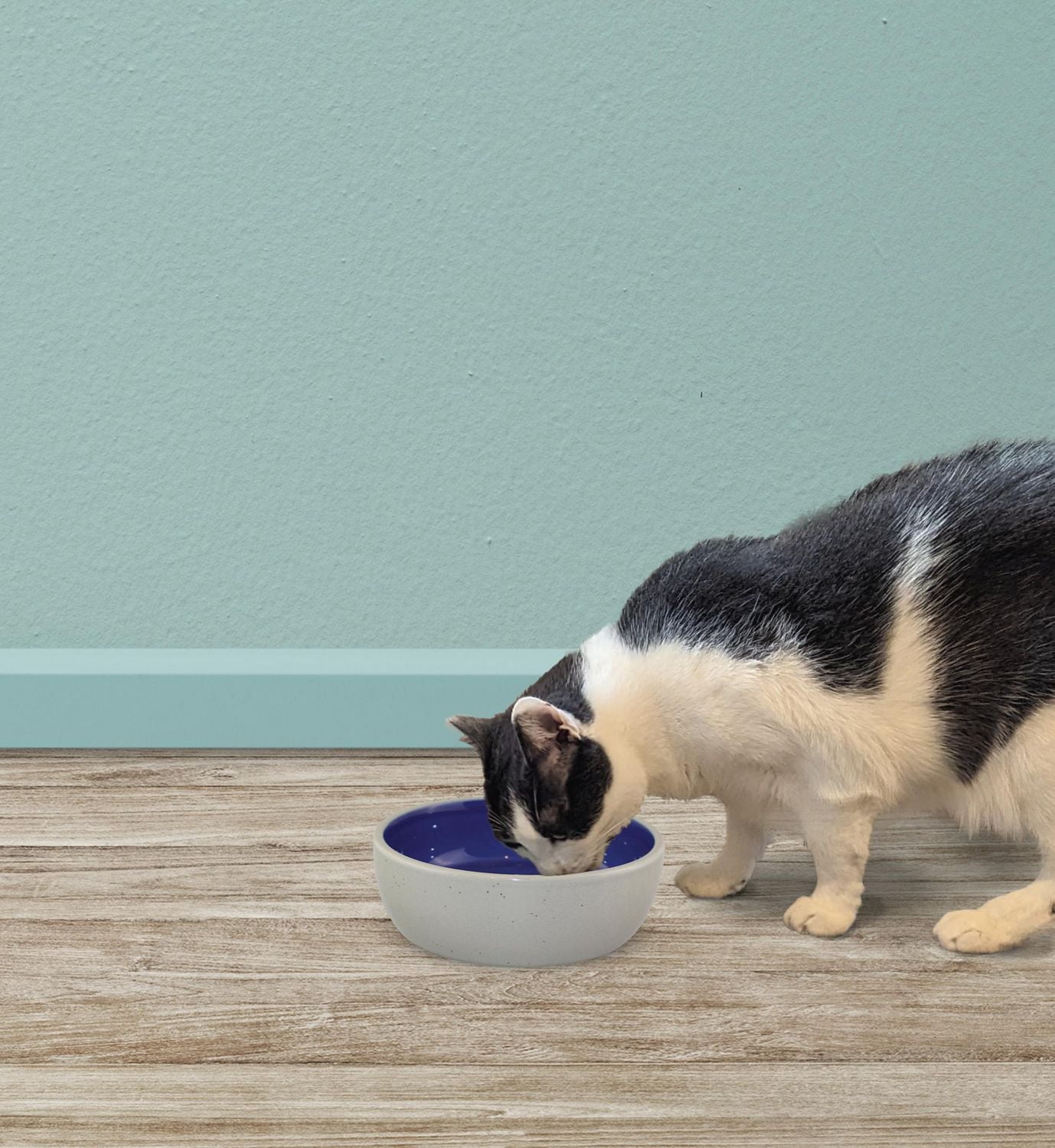 SPOT 5.25" Standard Crock Stoneware Cat Dish, 5.25"L x 5.25"W x 1.5"H