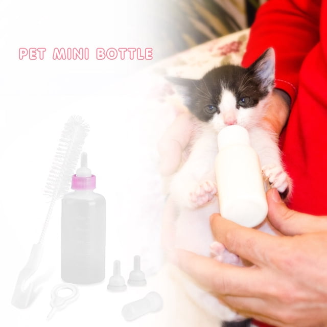 Botella De Bebida De Gato Botella De Bebida De Gato