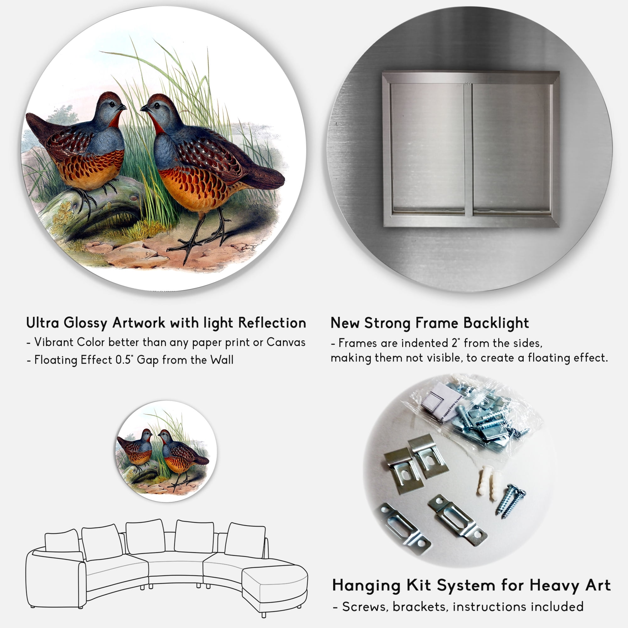 Designart 'Ancient Birds In The Wild VII' Traditional Circle Metal Wall Art 29x29 - Disc of 29