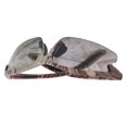 thumbnail image 2 of Lightweight Camouflage Goggles with UV Protection for Outdoor Adventures, Travel, and Fishing - Durable Semi-Rimless Design for Comfort and Concealment, 2 of 6