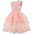 thumbnail image 2 of Costume de Sorcière Rose pour Filles, Robe d'Halloween, Tenue de Cosplay pour Anniversaire, 2 of 8