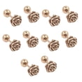 thumbnail image 1 of Qarigey Pendientes de 5 piezas para mujer y niña, aretes redondos de acero de titanio, para regalo, accesorios de joyería exquisitos Ropa, zapatos y accesorios Miscelánea bola de oro rosa Qarigey AP009678-09B, 1 of 6