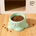 thumbnail image 6 of Elevated Cat Food Bowl for Small Dog, Fat Faced Cat, Kitten, Ceramic Raised and Tilted Water Bowl, Anti Vomiting and Protect Pets' Dishes, 6 of 6