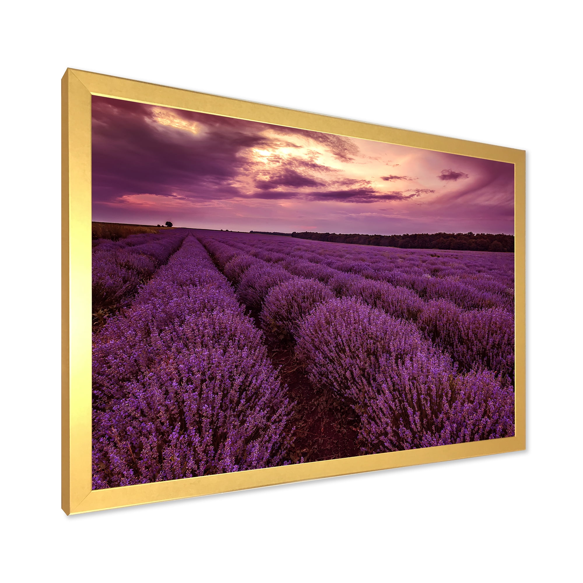 Designart 'Dramatic Clouds and Sunrise Over Lavender Field III' Farmhouse Framed Art Print