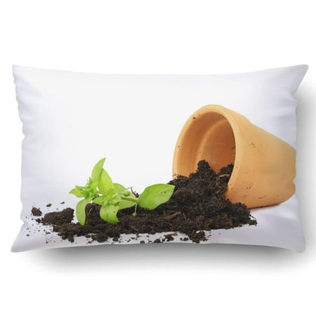 Gardenia Flower Pot Soil BPBOP Flower Pot With Spilled Out Soil Isolated Damage Concept Pillowcase Pillow Cushion Cover 20x30 inch ()