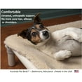 Kuranda Orthopedic Pet Cot Durable, Raised, Large XL & Small Sizes