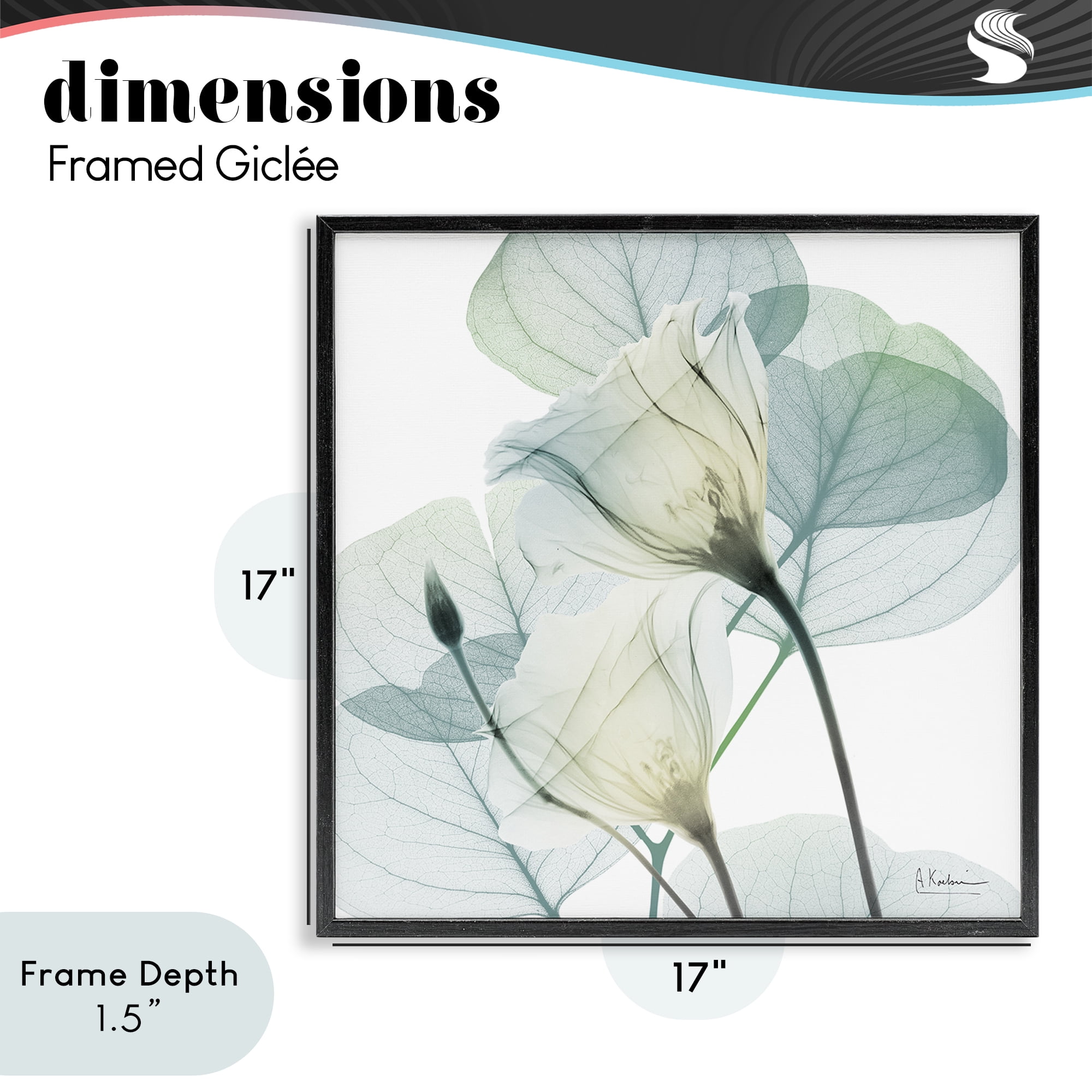 Stupell Industries Divine Fate Petals Black Framed Giclee Art, design by Albert Koetsier