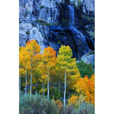 Autumn and Fall Color Waterfall Bishop Creek Canyon Eastern Sierras California Print Wall Art By Vincent