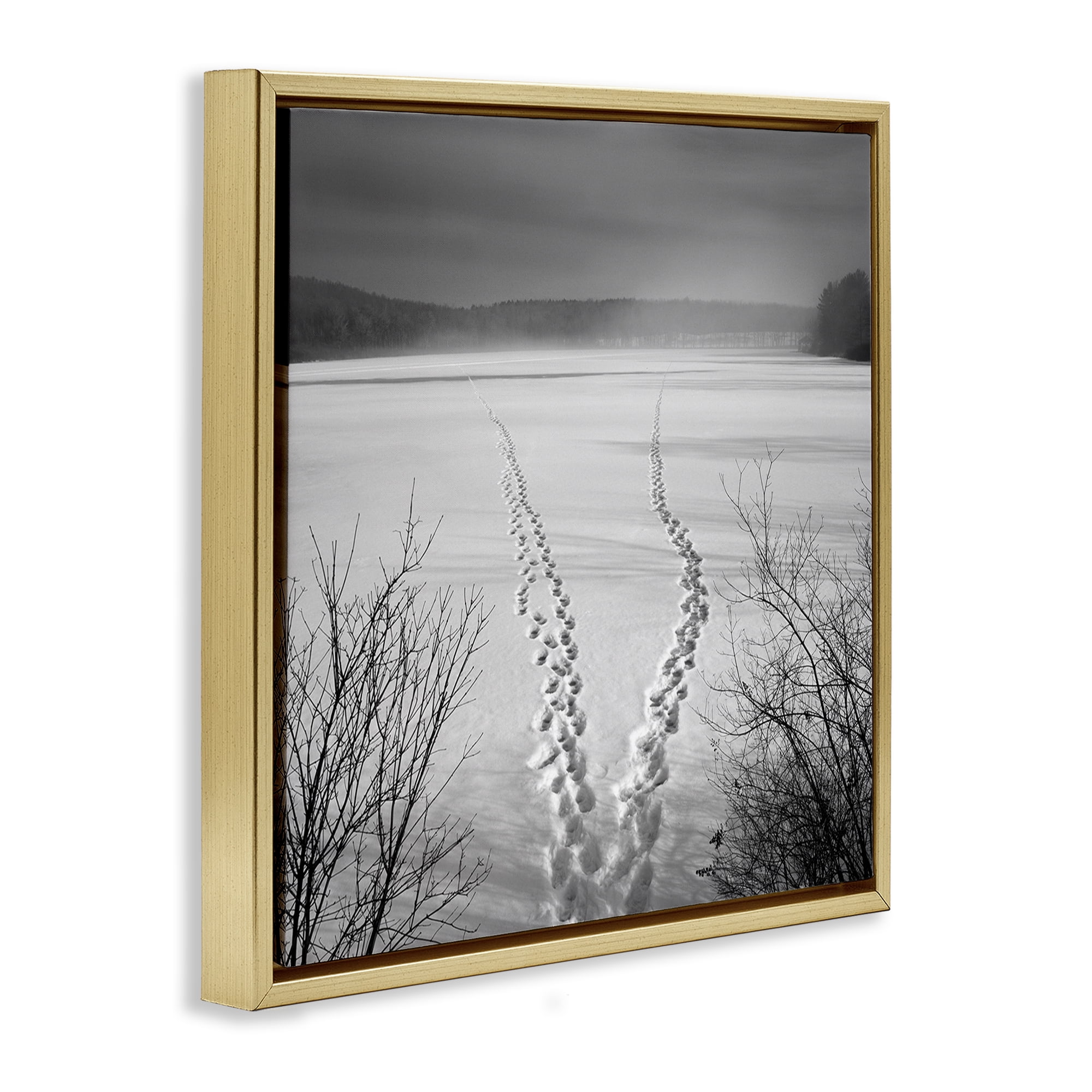 Stupell Industries Snowstep Tracks Across Frozen Lakes Gold Framed Floater Canvas Wall Art, design by Chip Forelli