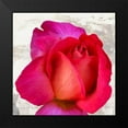 thumbnail image 2 of Thomlinson, Jenny 20x20 Black Modern Framed Museum Art Print Titled - Spring Roses III, 2 of 5